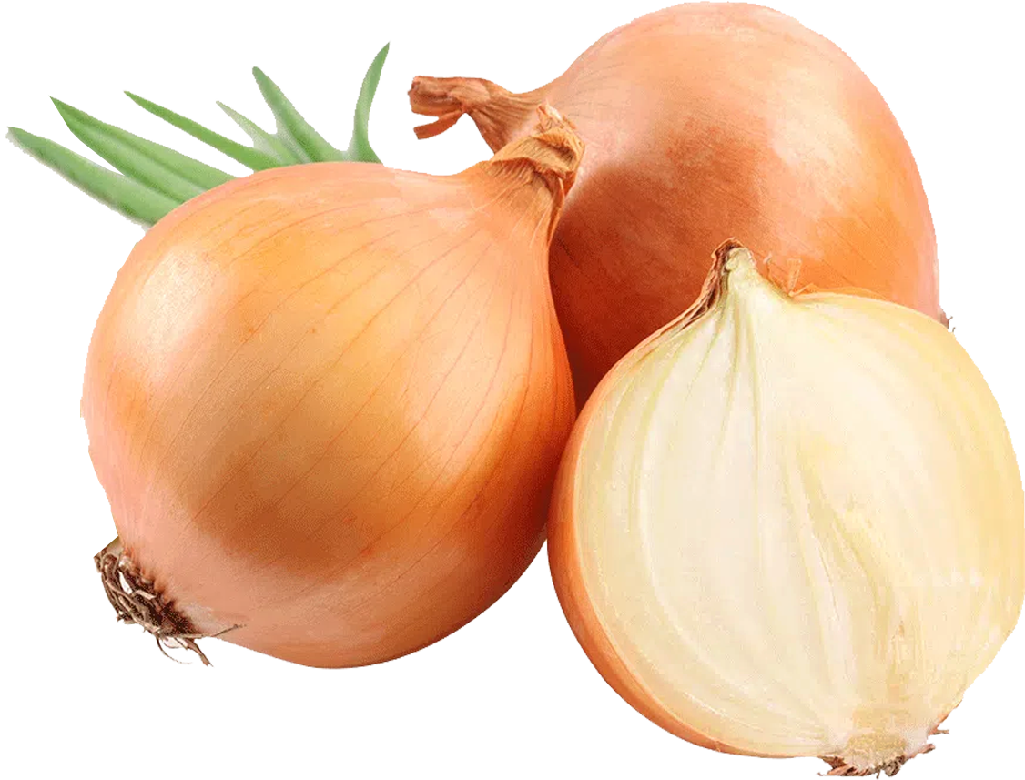 Cebola